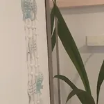 شقة Mana Mia Seaside ليبتوكاريا