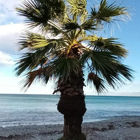 Mana Mia Seaside Leptokarya (Pieria)